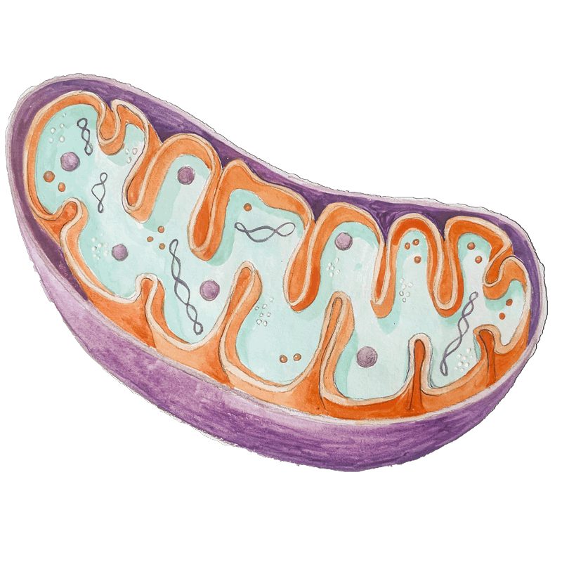 Octombrie
